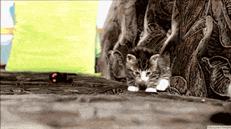 Daily GIFs Mix, part 217