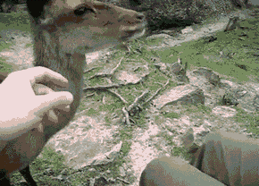 Daily GIFs Mix, part 217