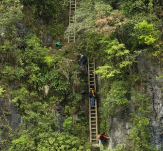 Extreme Way to Get to the Classroom