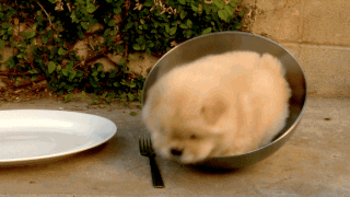 Daily GIFs Mix, part 222