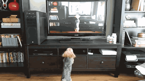Daily GIFs Mix, part 222