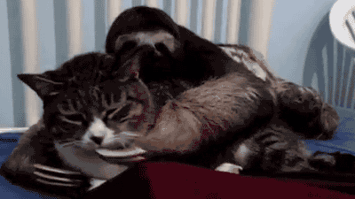 Daily GIFs Mix, part 223
