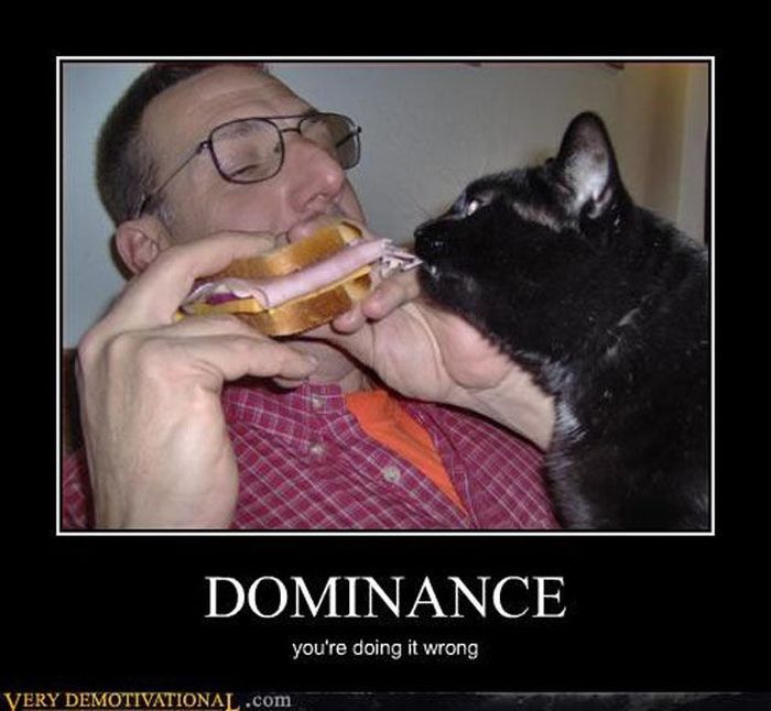 Funny Demotivational Posters, part 180