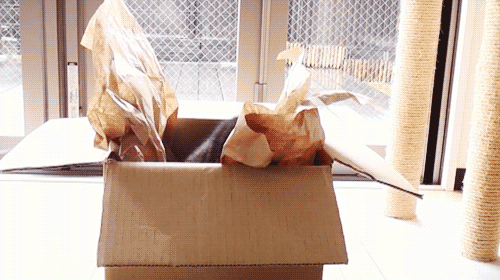 Daily GIFs Mix, part 225