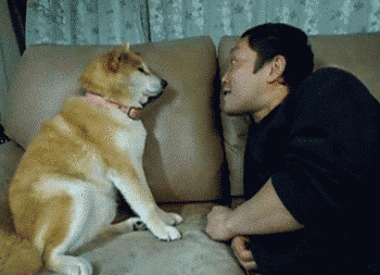 Daily GIFs Mix, part 227