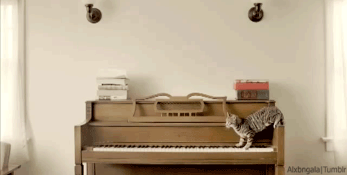 Daily GIFs Mix, part 230