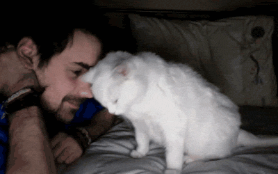Daily GIFs Mix, part 230
