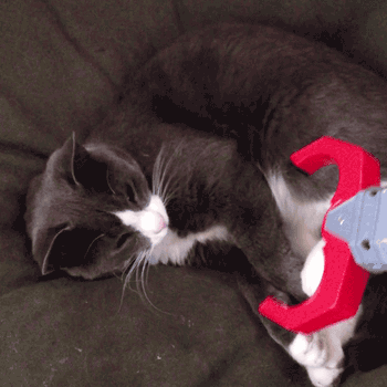 Daily GIFs Mix, part 232
