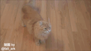 Daily GIFs Mix, part 241