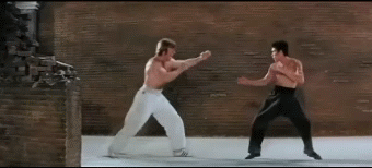 Amazing Martial Arts GIFs