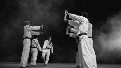 Amazing Martial Arts GIFs