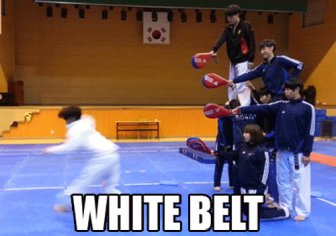 Amazing Martial Arts GIFs