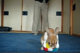 Daily GIFs Mix, part 243