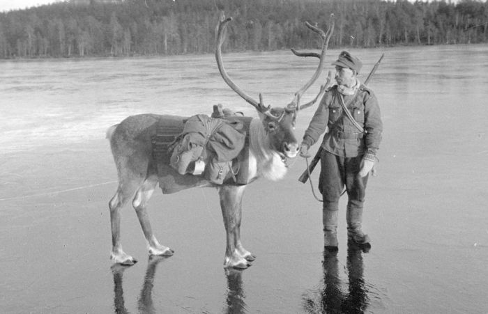 Finland in World War II