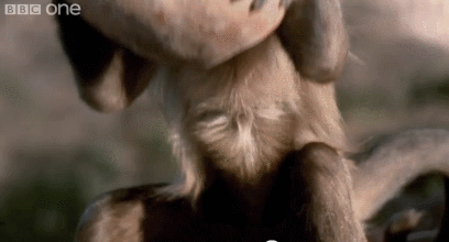 Daily GIFs Mix, part 250