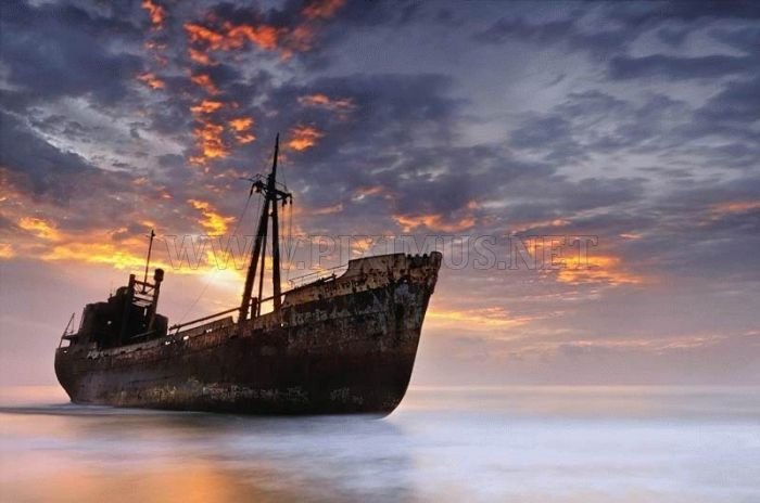 Wrecked Ships 