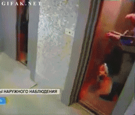 Daily GIFs Mix, part 252