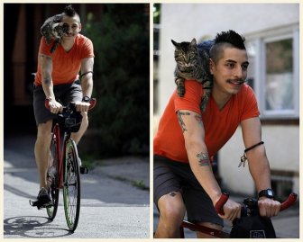 Cyclist and His Cat