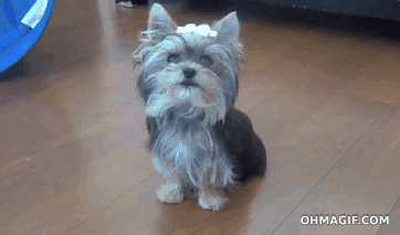 Daily GIFs Mix, part 257