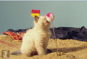 Daily GIFs Mix, part 258