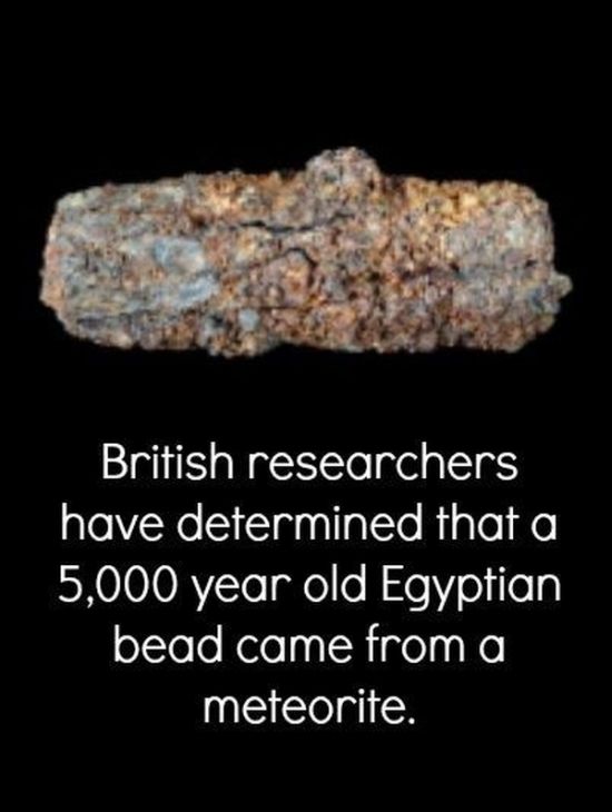 Amazing Scientific Facts