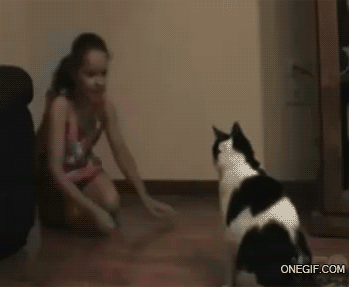 Daily GIFs Mix, part 261