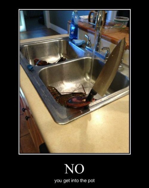 Funny Demotivational Posters, part 190