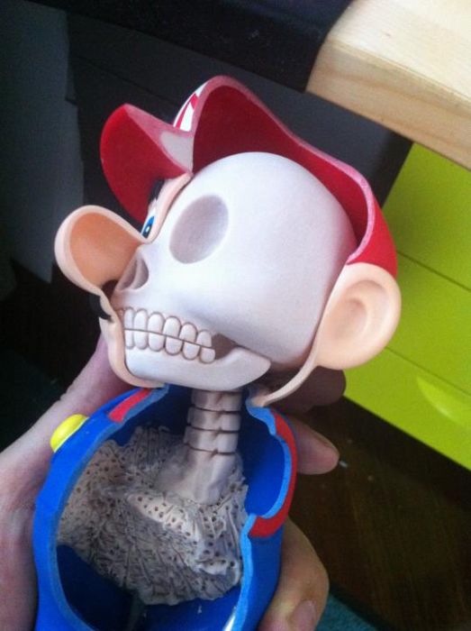 Dissected Mario