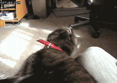 Daily GIFs Mix, part 266