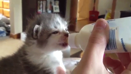 Daily GIFs Mix, part 266