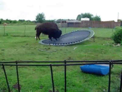Daily GIFs Mix, part 267
