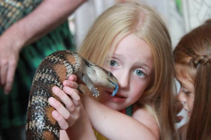 Reptiles at Children’s Party