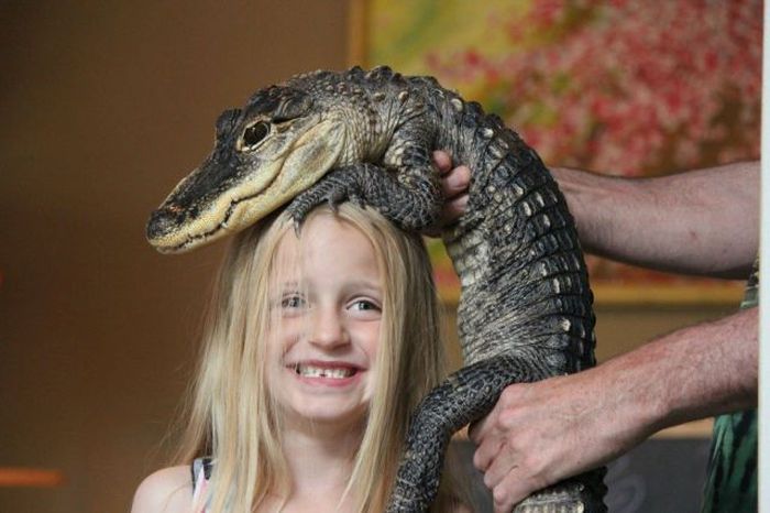 Reptiles at Children’s Party