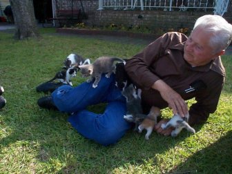 Elderly Man Attacked by a Gang