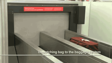 What Happens to Your Bags in the Airports