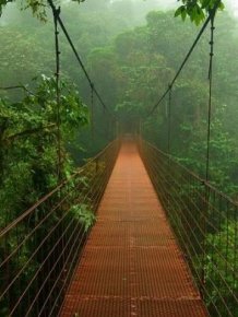 Amazon Forest Photo Tour