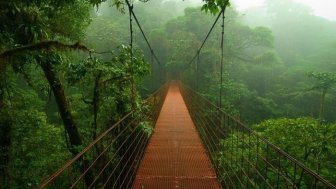 Amazon Forest Photo Tour