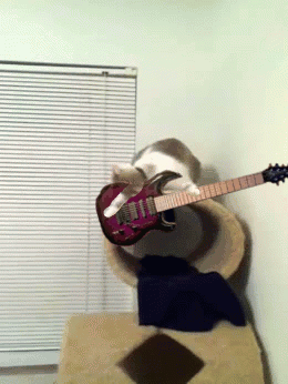 Daily GIFs Mix, part 272