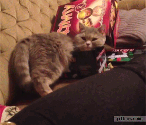 Daily GIFs Mix, part 272