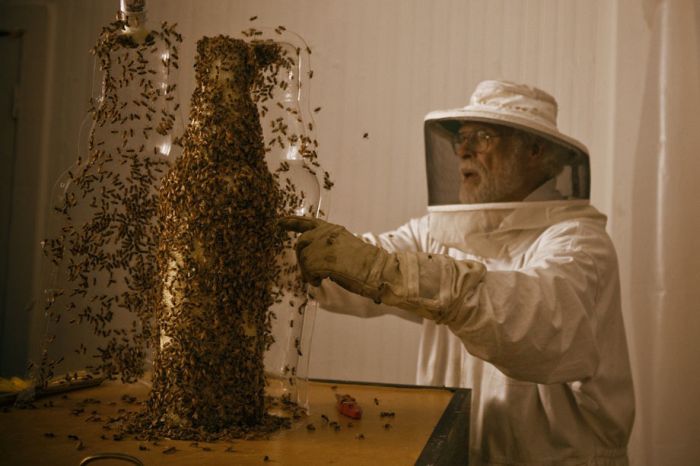 3D Printer Made Out of Bees