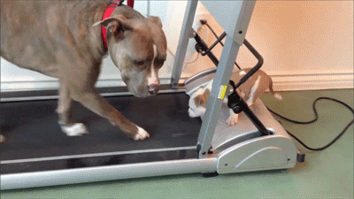 Daily GIFs Mix, part 276