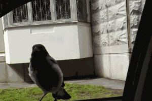 Daily GIFs Mix, part 280