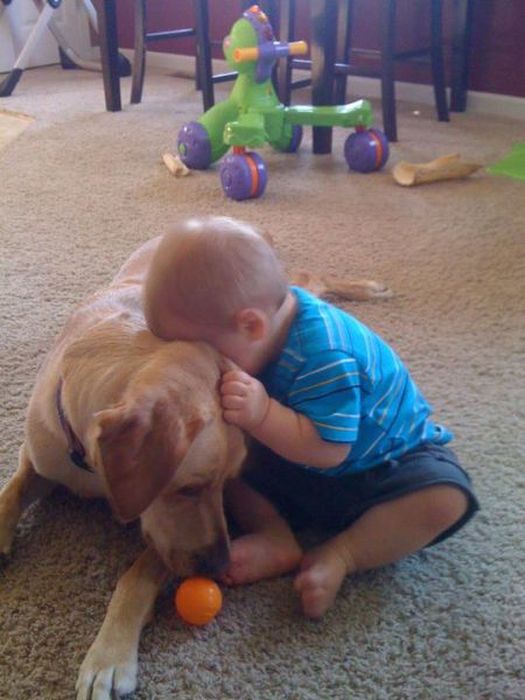 Kid and Dog Friendship