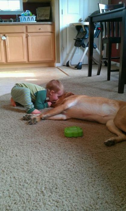 Kid and Dog Friendship