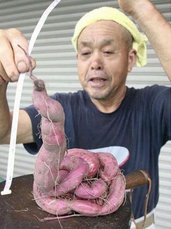 Mutants of Fukushima