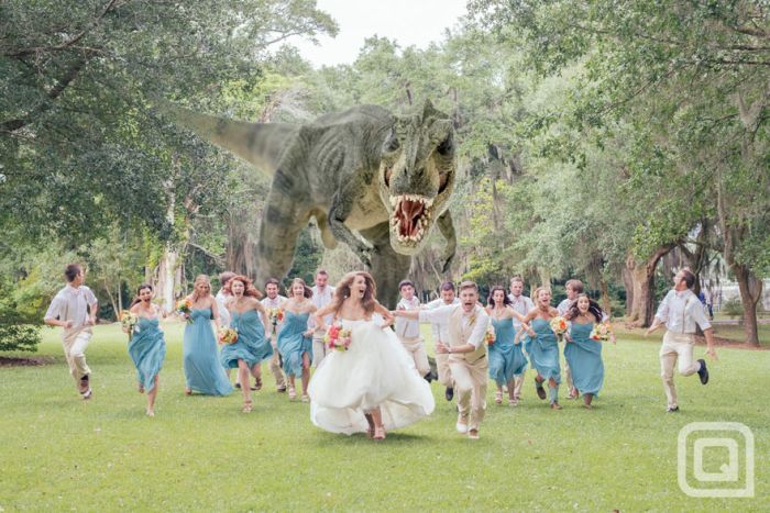 Crazy Wedding Party Attack Pictures