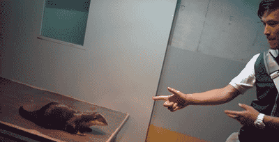 Daily GIFs Mix, part 284