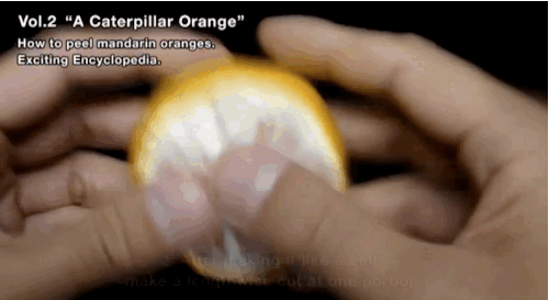 Catepillar Orange