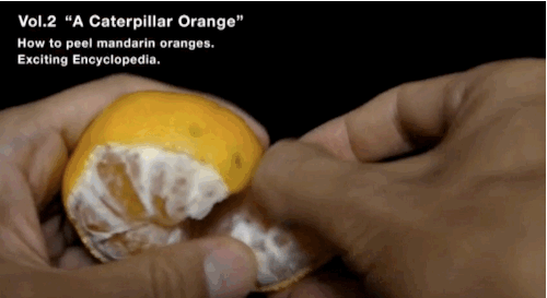 Catepillar Orange