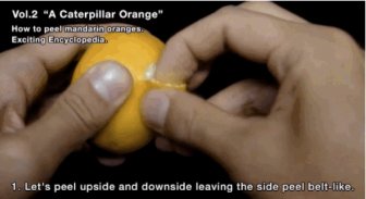 Catepillar Orange